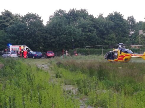 61605467_1233510963491200_2144190060918996992_n