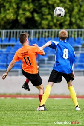 Pogon_Smolec_trampkarze_75X_4251