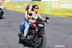 american_cars_mania_75X_9452-20190628