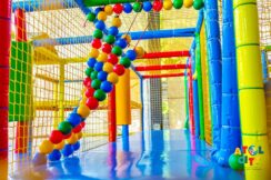 atol61973588_2407483432671082_6682142468810473472_o