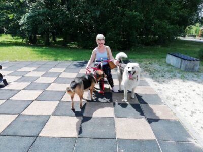 Szczęśliwe zakończenie historii o psiej przyjaźni