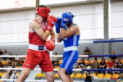 boks_Orzel_75X_9027-20190623