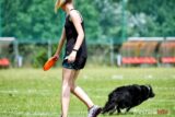 frisbee_75X_6295-20190615