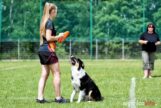 frisbee_75X_6298-20190615