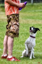 frisbee_75X_6303-20190615