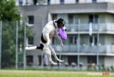 frisbee_75X_6306-20190615