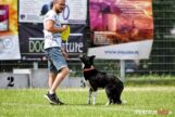 frisbee_75X_6318-20190615