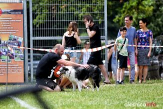 frisbee_75X_6323-20190615