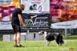 frisbee_75X_6326-20190615