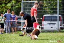frisbee_75X_6329-20190615