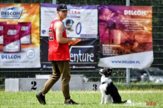 frisbee_75X_6335-20190615
