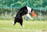 frisbee_75X_6337-20190615