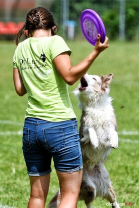 frisbee_75X_6343-20190615