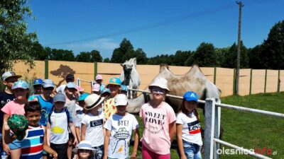 Akcja Lato w Powiatowym Centrum Edukacji i Kultury
