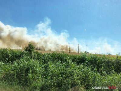 [AKTUALIZACJA] Wielki pożar 10-hektarów jęczmienia pod Komorowem [WIDEO I ZDJĘCIA]