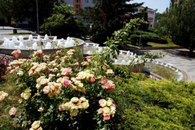 Będą kosić, pielęgnować, sadzić i nasadzać