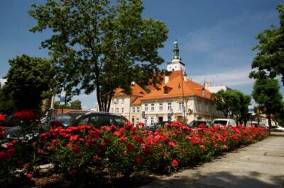 Oleśnickie róże są najpiękniejsze