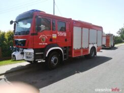 smolna62511038_486323388776735_8740164593734647808_n