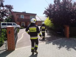 smolna64214217_314581662811154_1598025380856332288_n