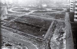 stare zdjęciaPL_1027_3_3_2_30 - Klomby przy ulicy Sinapiusa-20190620