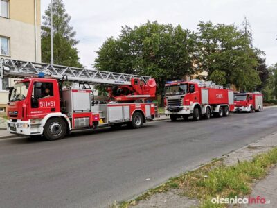 Coraz więcej fałszywych alarmów. Straż pożarna apeluje o właściwe użytkowanie czujek