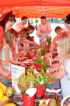 warsztaty61825005_1072179482976782_6981148561425563648_n-20190609