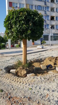 62405796_386690588858683_7704013148142960640_n