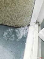 burza_65428223_2584574758219585_3162538317312950272_n-20190701