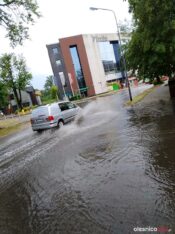 burza_65443552_470800300349668_1776525789341155328_n-20190701