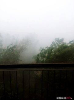 burza_65538832_2369566913119732_6263183153708400640_n-20190701