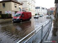 burza_65553884_470800750349623_5963255309571981312_n-20190701