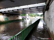 burza_65627780_470799890349709_6822086096885645312_n-20190701