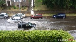 burza_65668362_10205434477738523_1232410697736912896_o-20190701