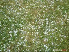 burza_65696939_2534126456632077_8123673114144931840_o-20190701