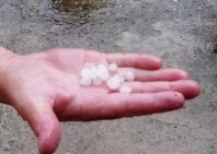 burza_65847763_2050566035066759_15879666619383808_n-20190701