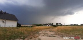 burza_65853323_2544649192252905_4662197887550095360_o-20190701