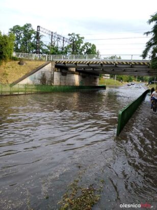 burza_66094023_470799860349712_914162881052803072_n-20190701