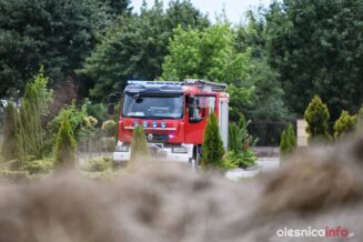 dromader_75X_9563-20190712