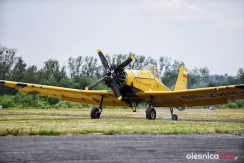 dromader_75X_9586-20190712