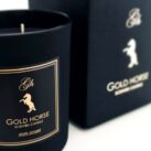 gold_horse65022495_2248342145244161_6094684817817862144_n-20190701