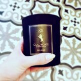 gold_horse65304029_2248341115244264_7072317694778802176_n-20190701