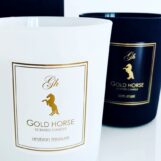 gold_horse65310811_2248342918577417_6264550482316886016_n-20190701