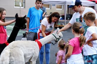 krew_dla_polski_75X_9590-20190713