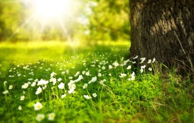 Wraca upalne lato. Już jutro wysokie temperatury