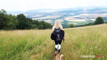 mira sudecka67305708_1152114404968992_7748239628980715520_n