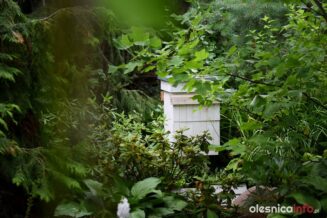 ogrod_Malgorzata_Krasucka_75X_1869