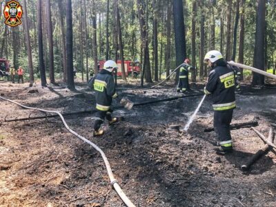 Palił się las w Drołtowicach. Strażacy szybko poradzili sobie z zagrożeniem
