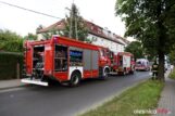 pozar_bierutow_75X_2169-20190727