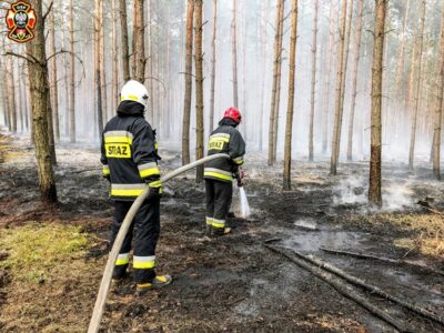 Leśnicy proszą o pomoc w ujęciu podpalacza lasu