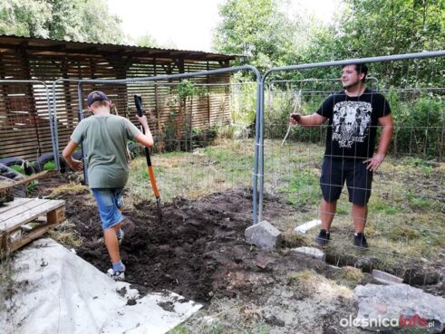 przystul pyska67162419_942165642811392_1192612113432969216_n-20190727